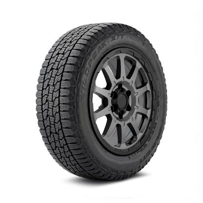 Imagen de 225/60R17 FALKEN WPATTR AT 99H TH