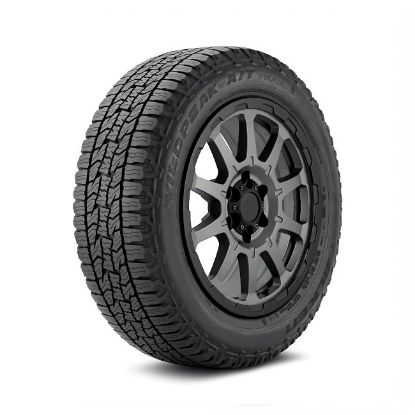 Imagen de 225/55R17 FALKEN WPATTR AT 101V TH